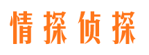 任城市婚外情调查